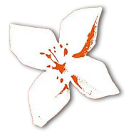 BPI Bank logo